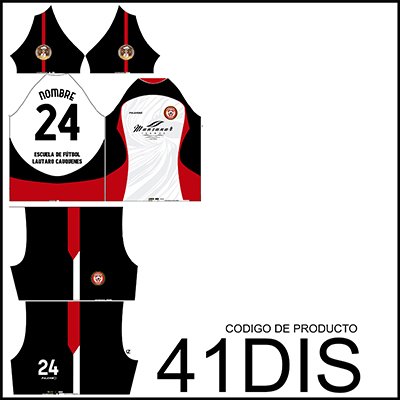 Diseño 41